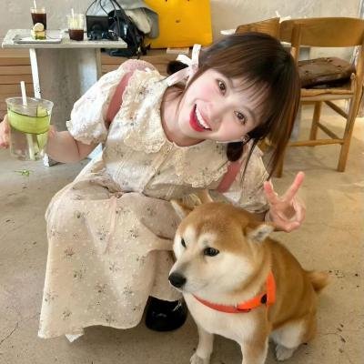 独角兽之死